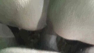 stap cougar plowed by son