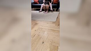 Sasha hotwife suck and banged! like a real whore!