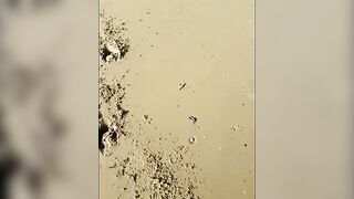 barefoot on the beach-bondage film-foot only showing