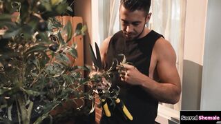 Latina tgirl  Morena gets barebacked