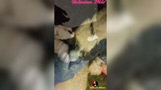 Valentina Wild Outside Group Sex 36 Pt. one