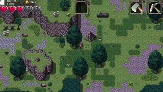 Farmer Dreams 40 Magic Mushrooms