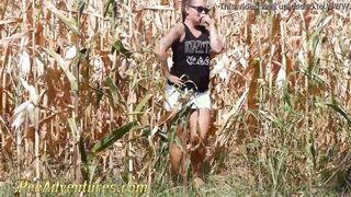 Pissing inside a corn field