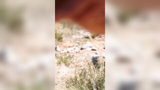 Nude into desert