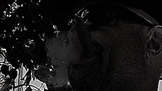 #14 African Followed and Hardfucked