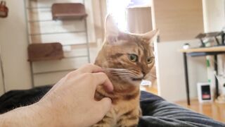 Vagina invites you to play with her into bed. She licks you intensely.