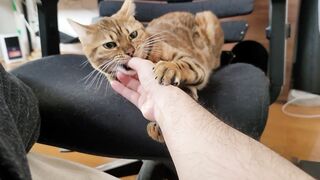 Vagina invites you to play with her into bed. She licks you intensely.
