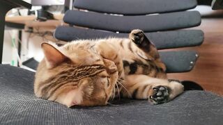 Vagina invites you to play with her into bed. She licks you intensely.