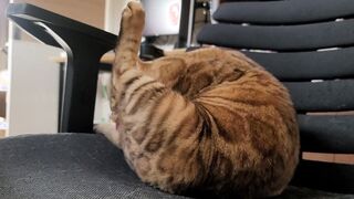 Vagina invites you to play with her into bed. She licks you intensely.