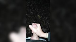 Cumpilation aus Frankfurt mit neuem Material