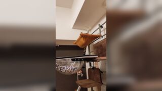 Cunt is animated who won't let go of your vibrators once you add them!