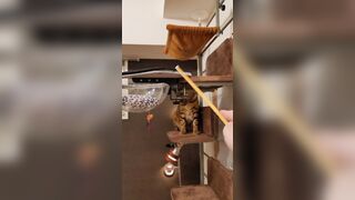 Cunt is animated who won't let go of your vibrators once you add them!