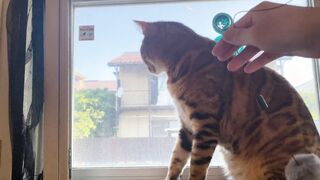 Having Fun with Twat by the window .... Excited that someone might view us.