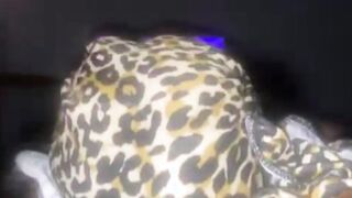 StoneysCorner Interracial plowed