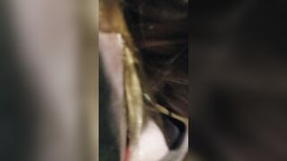 Fiance blowing my dick