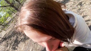 Head into a pine forest