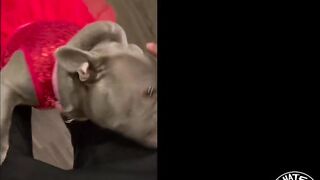 ms London invites lil d to the dungeon teaser