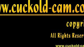 cuckold female domination