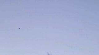 Let's Have Dessert, Outdoors Voyeurism By Lake