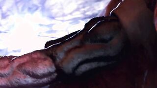 Cartoon 3D uncensored Lord of Sins