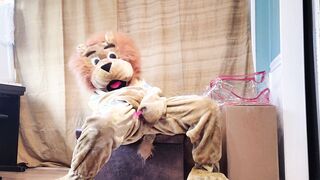 Squirting inside my Lion Mascot Suit