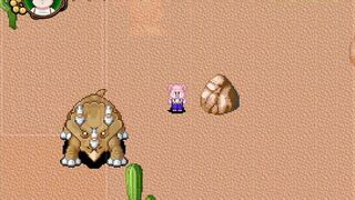 Kamesutra DBZ Erogame 47 Exhibitionist into the Desert