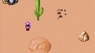 Kamesutra DBZ Erogame 47 Exhibitionist into the Desert