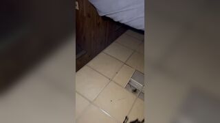 Twat Perfect Soak Inside juicy