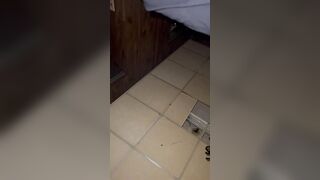 Twat Perfect Soak Inside juicy