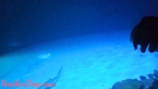 Thai eighteen Heather Deep deep throat throatpie after view shark