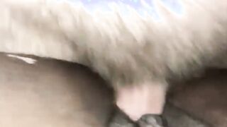Closer see of black snatch getting banged by white penis