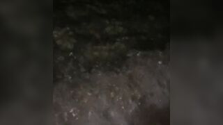 Filling her BOOTY n TWAT with PISS while she pets a sea turtle