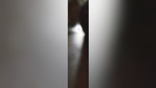 Vanessa's Anal Appointment