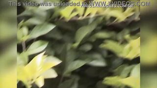 Brazilian women caught having sex at garden table