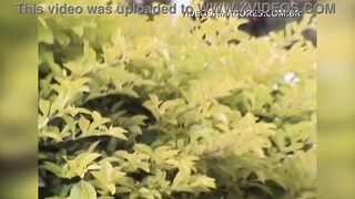 Brazilian women caught having sex at garden table