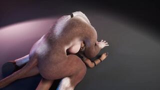 Furry cow milks ranger