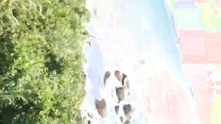 beach cuckold