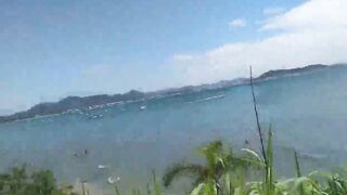 beach cuckold