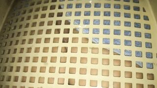 COMPILATION urinating on the chair