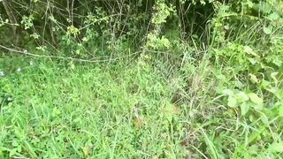 serene sex inside perfect forest clearing
