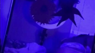 Hispanic teens bouncing on daddy’s cock