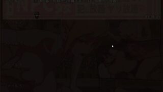 [THE NPC「町娘から女魔王まで 犯し放題ヤリ放題」]ゲーム実況 はぴて ~Part3~