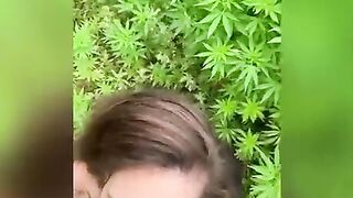 Stuck on WEED FARM. Filled lil BRUNETTES THROAT WITH CUM b4 rescue!!! OUTDOORS 
