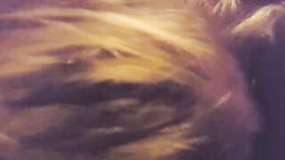 BLONDE cougar BLOWS big black cock