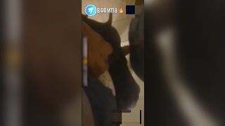 m7arm arab 6