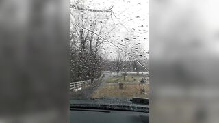 public cemetery wank