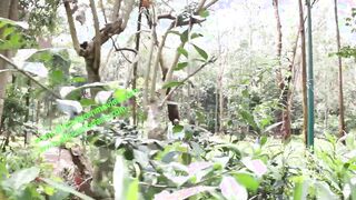Very Goddess outdoors banged! inside the free era under the woods of a outside garden with 3 strangers during a tourist encounter with long thick african dicks. Between adultery, satisfaction, deception and erotic corruption, to live exclusively on xvideo