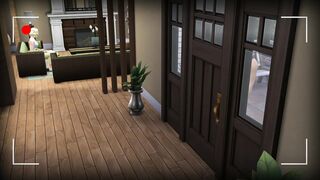 SimsCam #2