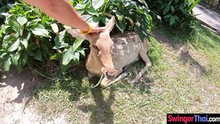 Big ass Thai GF went to a  and sex