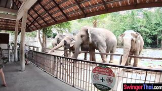 Big ass Thai GF went to a  and sex